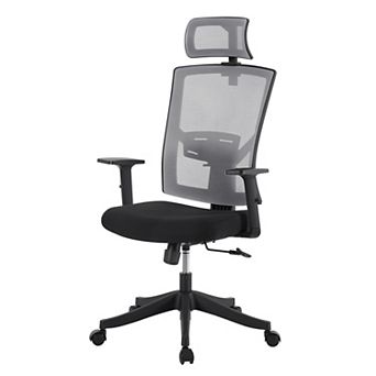 ANIXOL Ergonomic High-Back Mesh Office Chair with 4D Armrests & Dynamic Lumbar