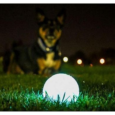 Light Up Dog Bounce Ball