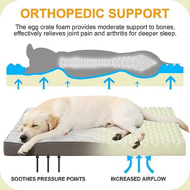 Orthopedic Waterproof Dog Bed