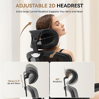 ANIXOL Ergonomic Mesh Office Chair with Chrome Base