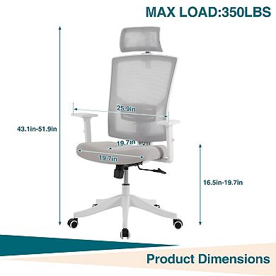 ANIXOL Ergonomic High Back Mesh Office Chair