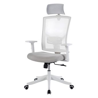 ANIXOL Ergonomic High Back Mesh Office Chair
