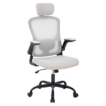 ANIXOL Ergonomic High-Back Mesh Office Chair with Headrest & Flip-Up Armrests