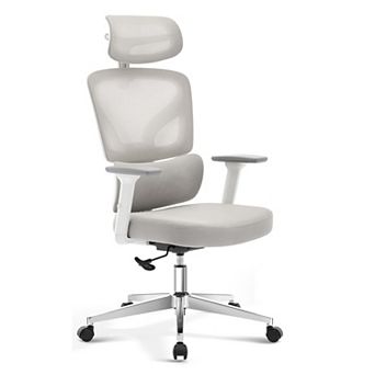 ANIXOL Ergonomic Mesh Office Chair with Chrome Base