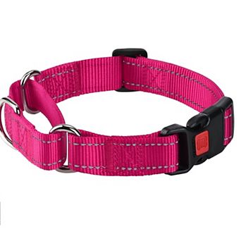 Adjustable Training Dog Collar
