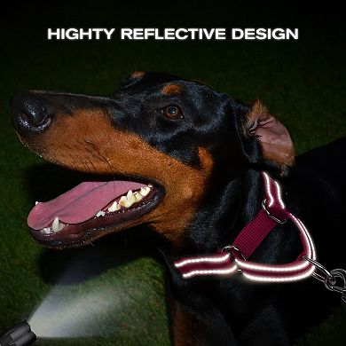 Adjustable Training Dog Collar