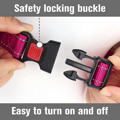 Adjustable Training Dog Collar