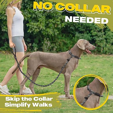 Heavy Duty Slip Lead Leash