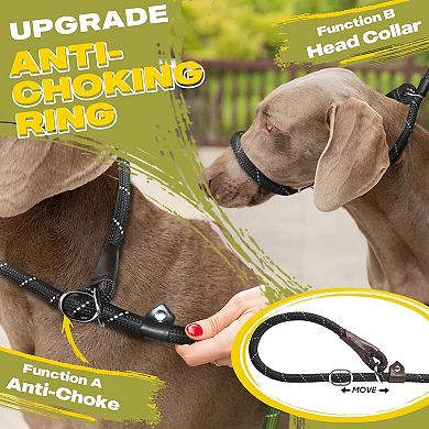 Heavy Duty Slip Lead Leash