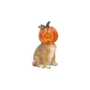 Lighted Resin Cat Pumpkin Head Table Decor