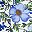 Floral White Blue