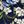 Sea Blue Floral