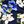Sea Blue Floral