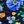 Navy Poppy Floral