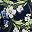 Sea Blue Floral