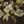 Green Bria Bouquets