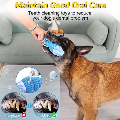 Tough Squeaky Dog Chew Toy