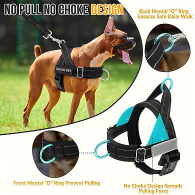 No Pull Dog Harness Set
