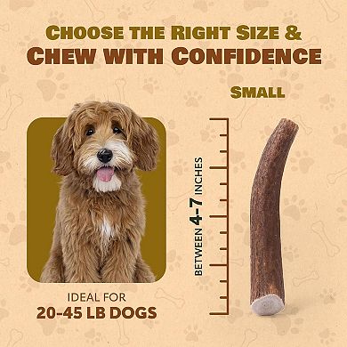 Whole Elk Antler for Dogs