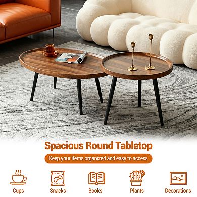 Modern Nesting Side Table Set of 2