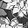 Black White