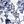 White Blue Floral