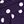 Blackberry Polka Dot