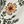 Ivory Placed Floral