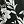 Black White Floral
