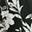Black White Floral