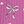 Pink Bows