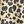 Tan Cheetah