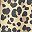 Tan Cheetah