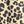 Tan Cheetah