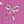 Pink Bows