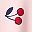 Pink Cherry