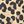 Tan Cheetah