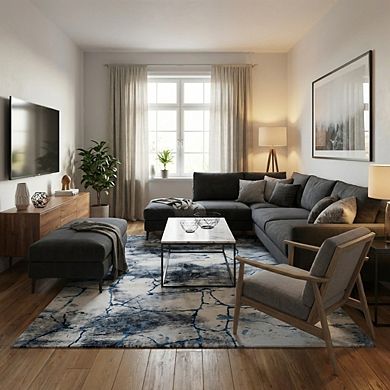 Abstract Area Rug Machine Washable Low Pile Pet Friendly Foldable Carpet for Hallway Entrance