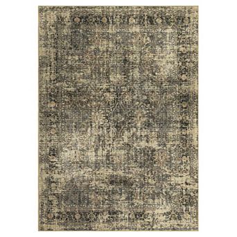 Vintage Area Rug Machine Washable Low Pile Pet Friendly Foldable Carpet for Bathroom Hallway
