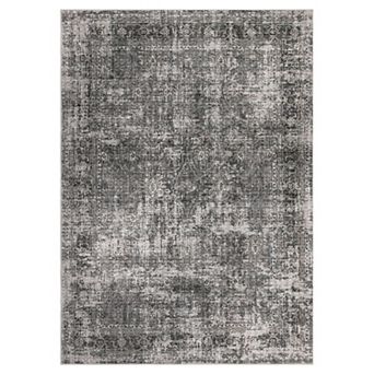 Vintage Area Rug Machine Washable Low Pile Pet Friendly Foldable Carpet for Bathroom Hallway