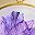 Gold July Larkspur