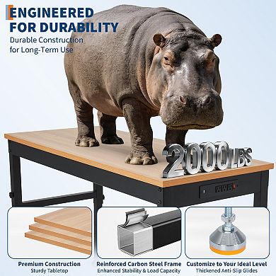 Single-Layer Workbench Without Wheels With A Power Cord, Hanging Area, And Hooks