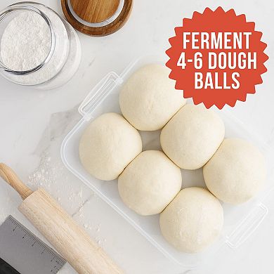 Chef Pomodoro Pizza Dough Proofing Box with Lid, 14 x 11-In, Fits 4-6 Proofing Balls (Grey, 2-Pack)