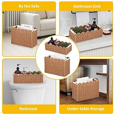 ANIXOL Scalloped Paper Rope Storage Baskets 2-Pack