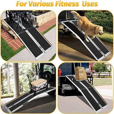 ANIXOL Portable Wheelchair Ramp