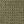 Mayfly