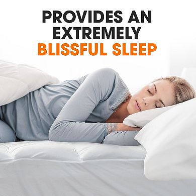 Cheer Collection Microplush Down Alternative Mattress Topper with Deep Pocket Quilted Fitted Skirt