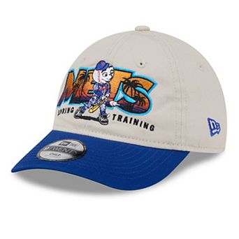 Youth New Era Stone/Royal New York Mets 2026 Spring Training Fan Pack Batter 9TWENTY Adjustable Hat