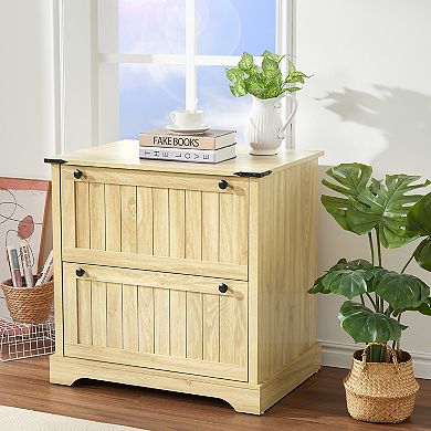 File Cabinets with 2 Drawers
