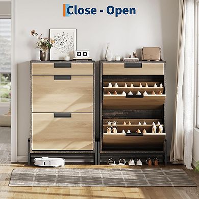 Shoe Storage Cabinet with 2 Flip Drawers